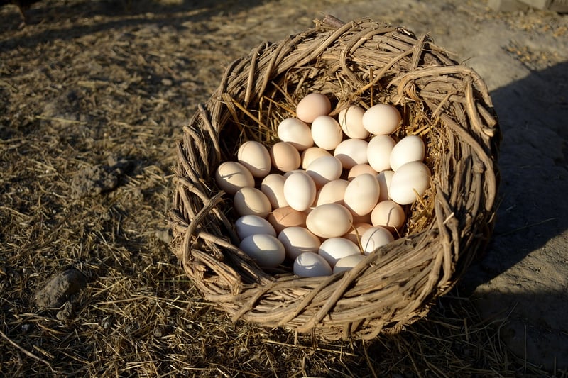 Environmentally Conscious Crafting